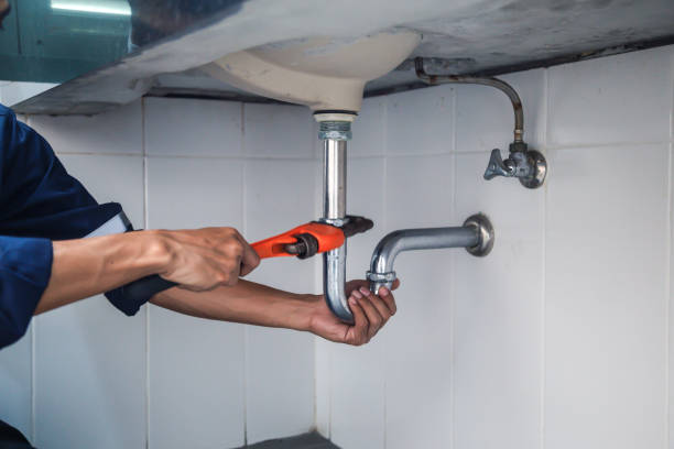 Best Clogged Drain Plumber  in Phelan, CA