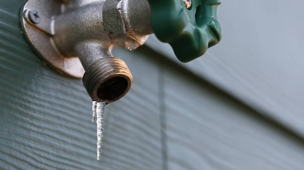 Best Leak Detection Services  in Phelan, CA